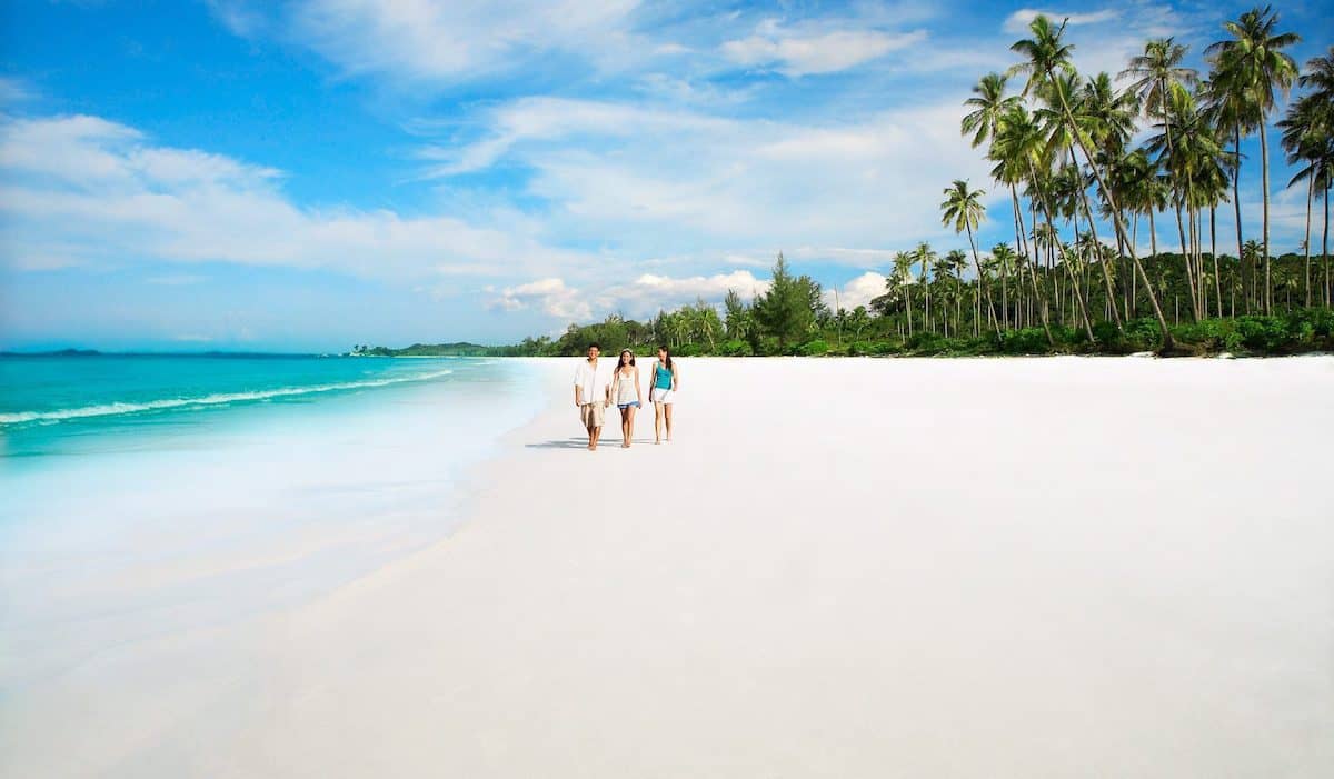 Beer detox weight loss resort beach paradise 2