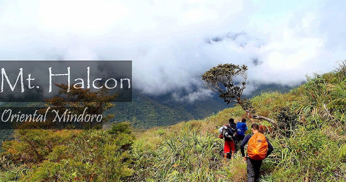 mt halcon with tour guide mt halcon with tour guide