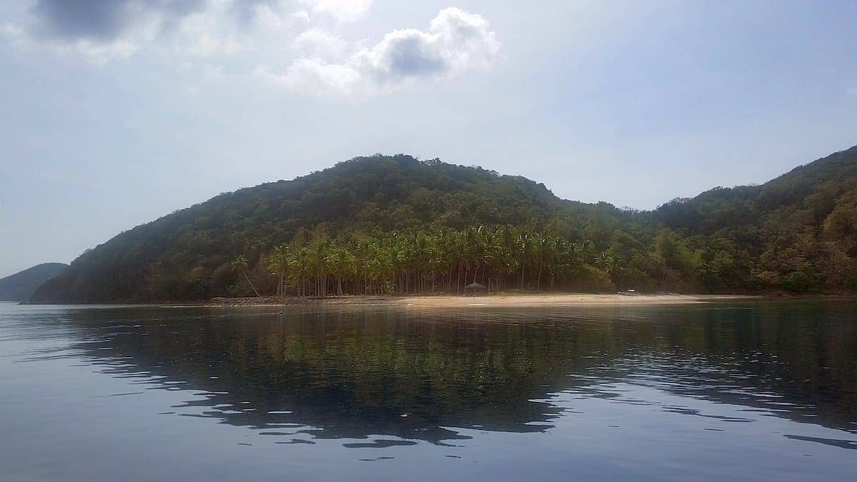 A tropical island with a dense cluster of palm trees sits under a bright sky in Coron. The calm water reflects the trees and surrounding green hills, creating a peaceful scene reminiscent of Kayangan Lake. A few scattered clouds are visible above, perfect for an idyllic island hopping adventure.