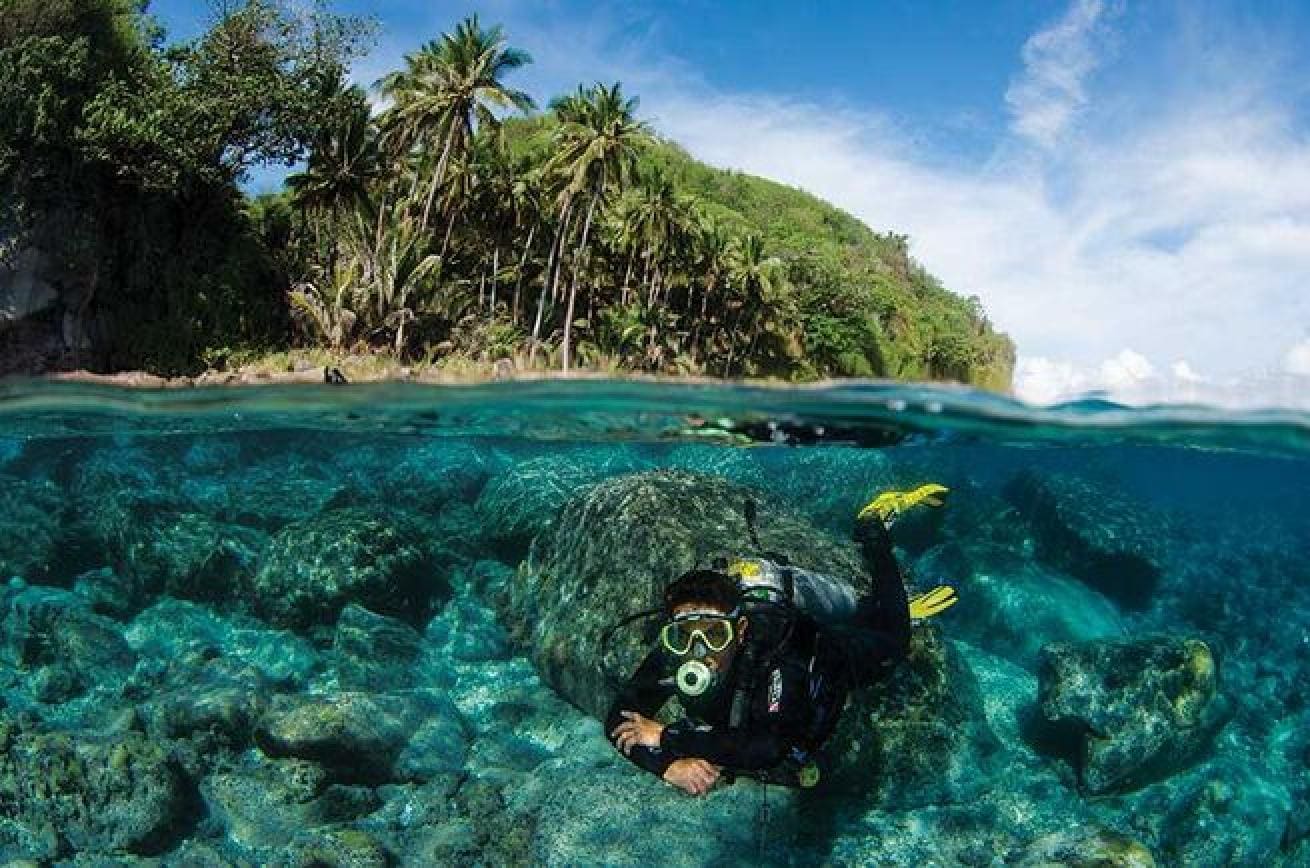 visayas scuba diving