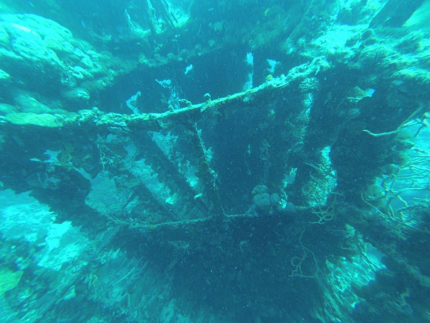 Beneath the clear blue waters of Coron, the coral-covered Skeleton Shipwreck teems with vibrant marine life, offering a stunning underwater view that invites adventure seekers during island hopping tours.
