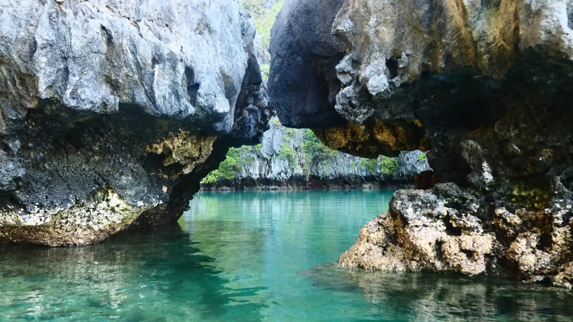 small lagoon kayak view