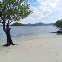 chindonan island eco resort coron accommodation 2