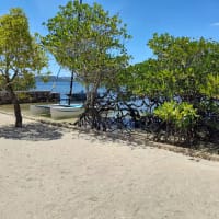 chindonan island eco resort coron accommodation seaview villa 3