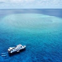 Dolphin liveaboard tubbataha tour cebu arial view 2