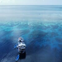 Dolphin liveaboard tubbataha tour cebu arial view 3