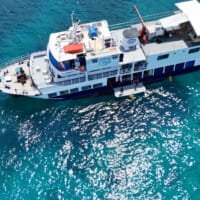 Dolphin liveaboard tubbataha tour cebu arial view 5