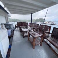 Dolphin liveaboard tubbataha tour cebu deck 2