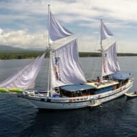 philippine siren aerial