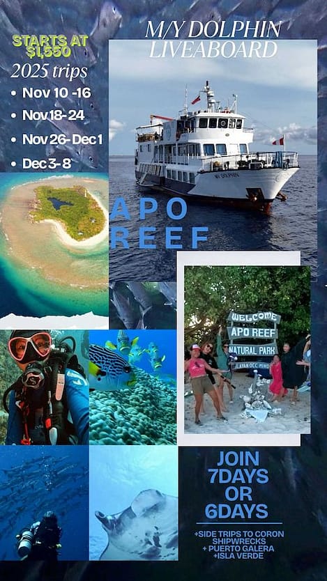 dolphin 7 day trip