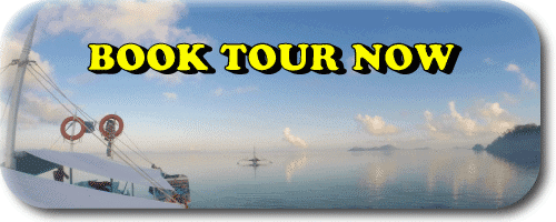 book-tour-now in el nido