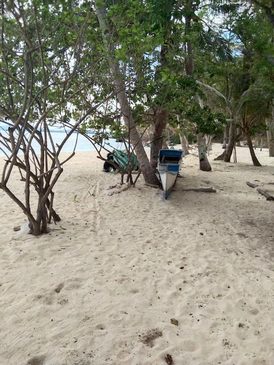 dipalian island campsite beach