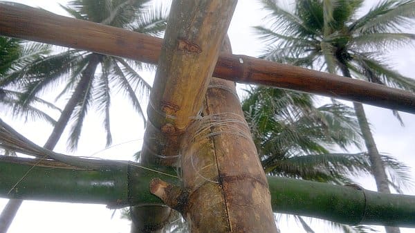 Close-up of bamboo scaffolding tied with wire, reminiscent of structures seen on a boat tour, with tall palm trees in the background against a cloudy sky.