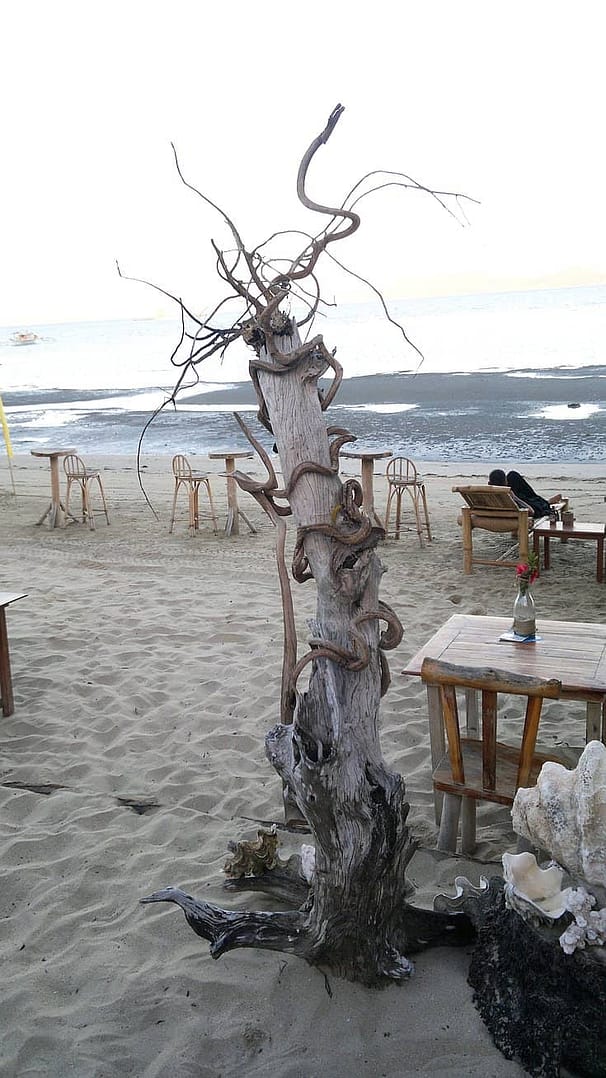 A dry, twisted tree trunk stands on a sandy beach, surrounded by rustic wooden tables and chairs. The ocean is visible in the background, perfect for island hopping adventures or boat tours under a cloudy sky with gentle waves.