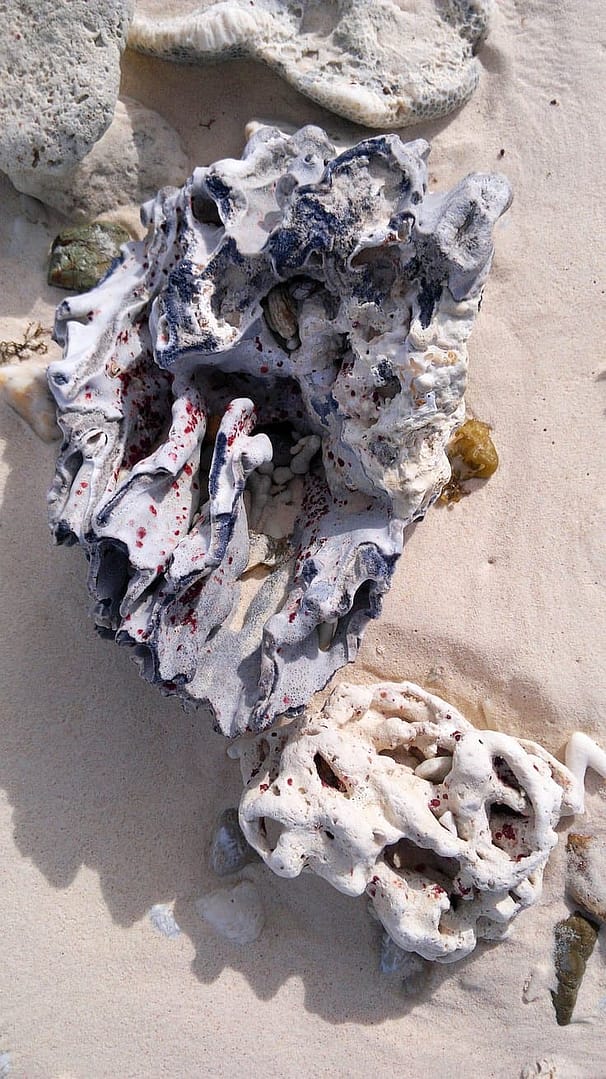 Close-up of two large coral formations on a sandy beach, perfect for those enjoying boat tours. The corals are textured with shades of white, gray, and hints of red. Surrounding them are smaller stones and grains of sand, embodying the enchanting allure of island hopping adventures.