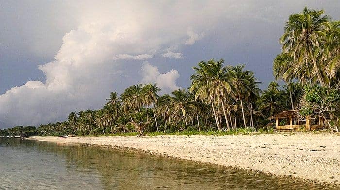 A tropical beach scene unfolds with a sandy shore, calm water, and palm trees swaying under a cloudy sky. On the right, near a small wooden hut, whispers of an awaiting boat trip hint at adventure along the serene coast.