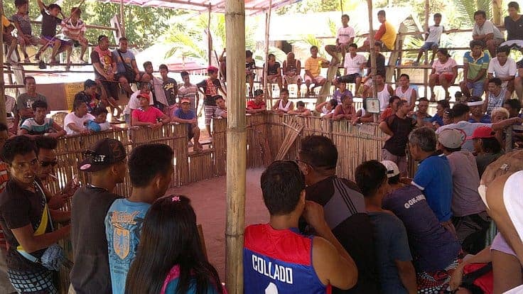 A group of people gathered around an arena under a thatched roof, watching an event. Some are sitting on benches while others stand, discussing the day's island hopping adventures. The setting appears casual, with trees visible in the background.