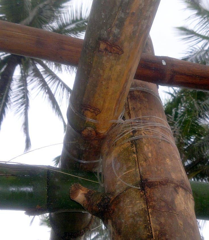 Close-up of bamboo poles tied together with strands of clear plastic, reminiscent of structures often seen on island hopping adventures. The background shows blurry palm leaves and a bright sky.