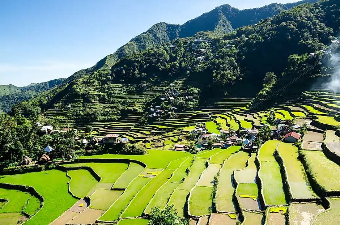 Rizières en terrasses de Banaue - Luzon