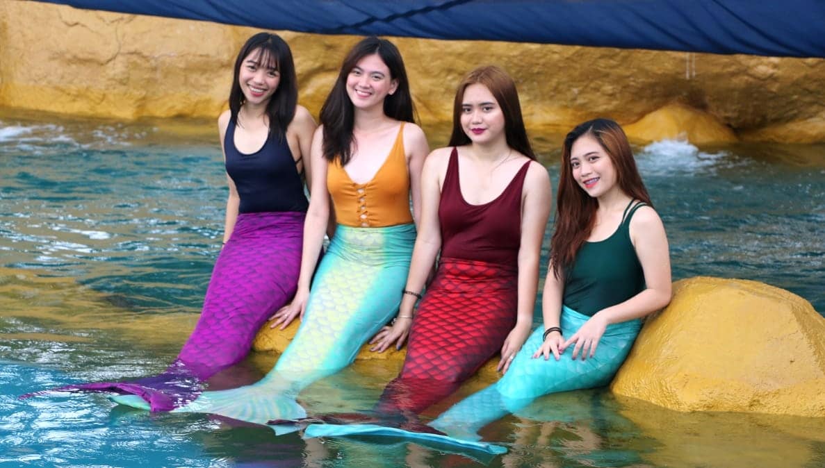 manila ocean park mermaids manila ocean park mermaids