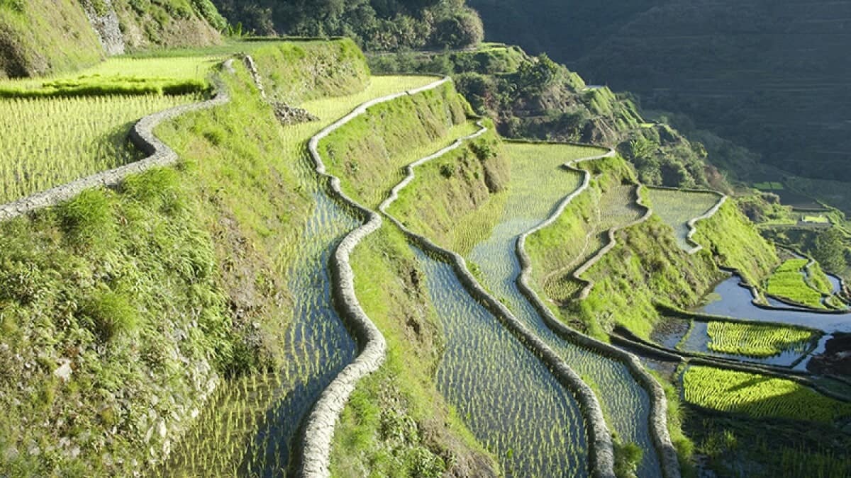 Batad Rice Terraces