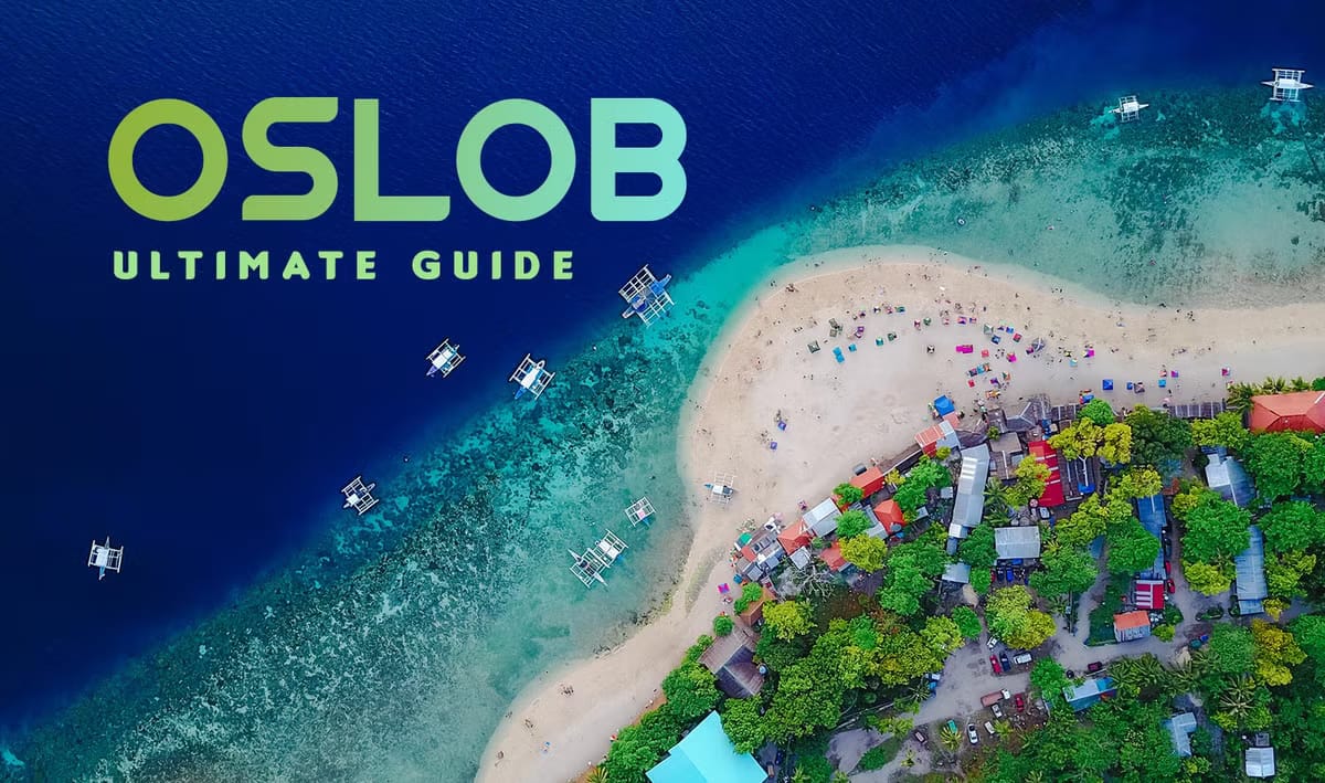 ultimate guide oslob b