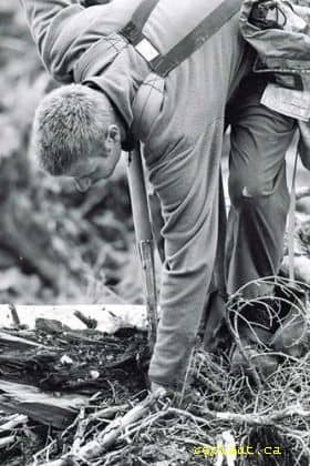 planting tree in ground 4