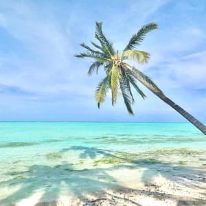 旅行ガイドの行きたい場所 バラバク島 パラワン 2