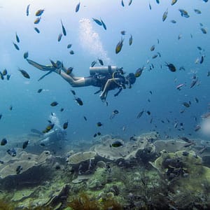 coron diving 11