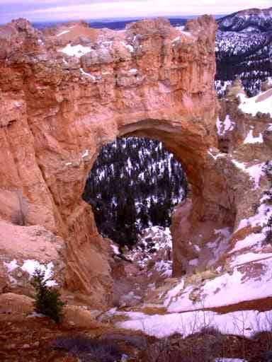 bryce-yosemite-travel