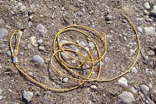 plot cord