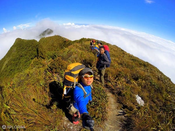 mount halcon mindoro tour guide mount halcon mindoro tour guide