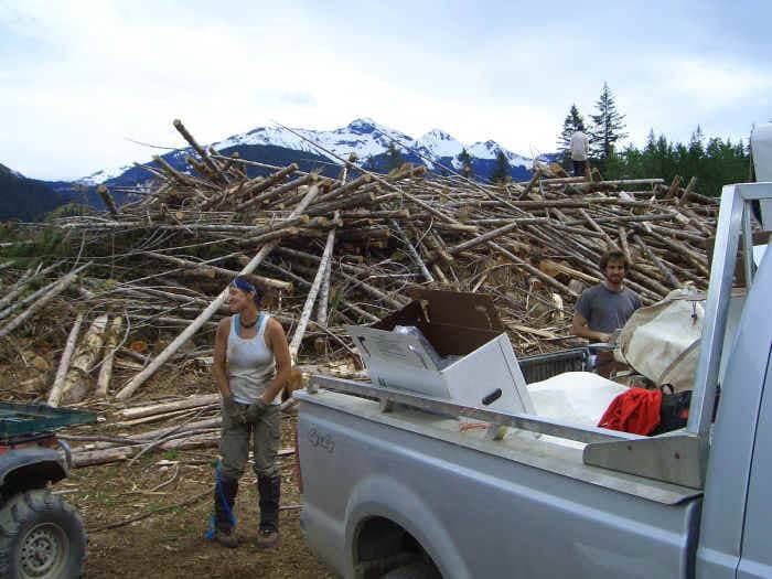 treeplanting-scene