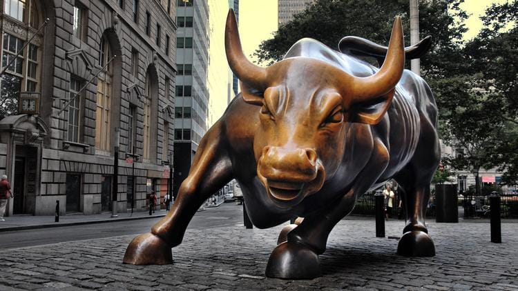 crypto bull run