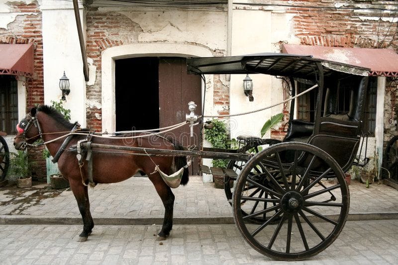 vigan Kalesa Horse drawn Carriage vigan Kalesa Horse drawn Carriage
