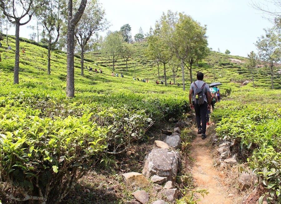 Trekking in Philippines